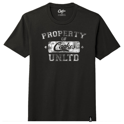 Caakes®™ 2020 Property of Caakes