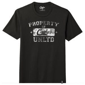 Caakes®™ 2020 Property of Caakes