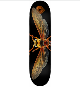8.0 Powell Peralta Wasp Deck